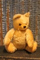 item no:
Steiff 11 item no:
Steiff 11
