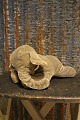 item no:
Steiff 7 item no:
Steiff 7