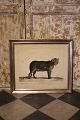 item no:
Gravure af leopard item no:
Gravure af leopard