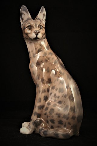 Rare porcelain figure of a Serval from Dahl Jensen - Denmark. (DJ)
Height: 25.5cm.
