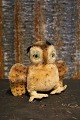 item no:
Steiff 3 item no:
Steiff 3