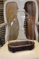 item no:
globe 30 item no:
globe 30