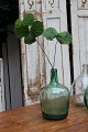 item no:
glas vase 1 item no:
glas vase 1