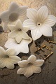 item no:
Hvide opal blomster item no:
Hvide opal blomster