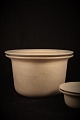 latest
new item latest
new item