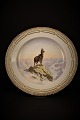 Royal Copenhagen, Flora Danica dinner plate in "Hunting dinnerware"" Dia: 26cm. 
239/3549.