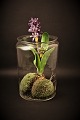 item no:
Sylte glas nr. 1. item no:
Sylte glas nr. 1.