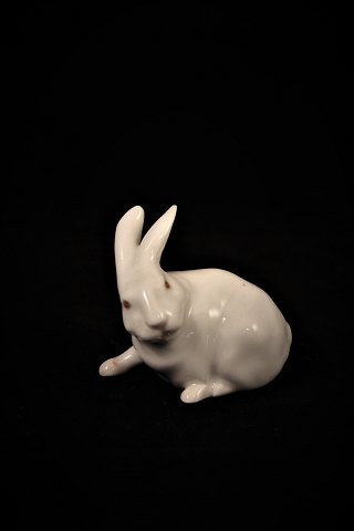 Royal Copenhagen porcelæns figur af lille hvid kanin.( Per Herold )1691.