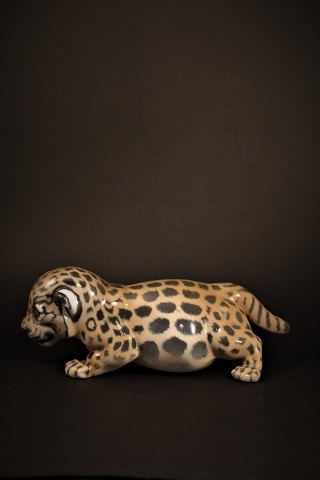 Royal Copenhagen porcelæns figur ,lille jaguar unge , design af Jeanne Grut.#4659