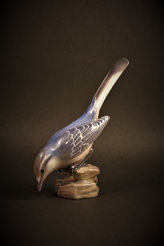 Dahl Jensen porcelæns figur af fugl , Vipstjert. H:14,5cm.DJ# 1248.
