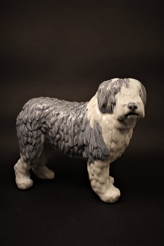 Gammel Royal Copenhagen porcelænsfigur af Old englich sheepdog...