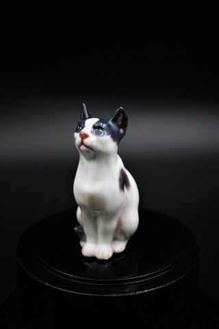 Lille porcelæns kat fra Dahl Jensen.DJ# 1329. 1.sort. H:9,5cm.