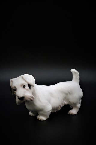 Bing & Grøndahl porcelænsfigur af en Sealyham terrier.
B&G# 2011. 1. sort. L:17cm. H:9,5cm.