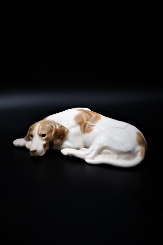 Bing & Grøndahl porcelænsfigur af en Pointer hund.
Design Laurits Jensen. B&G#2044. 1.sort. 
L:24cm. H:6,5cm.