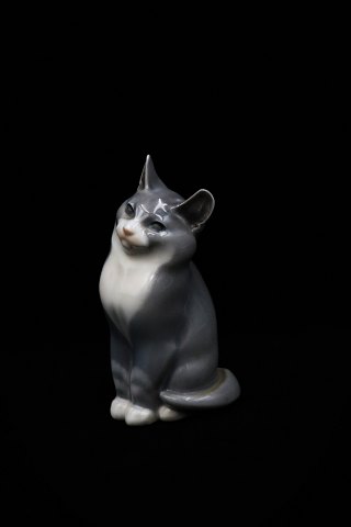 Royal Copenhagen porcelæns figur af lille kat.RC#1803. 2.sort. H:13,5cm.
