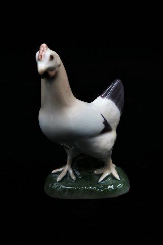 Bing & Grondahl porcelain figurine of a chicken. B&G#2193. 
Height: 10,5cm...