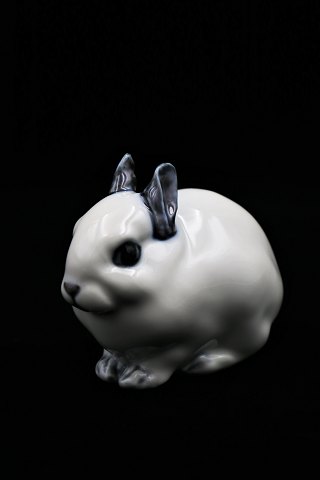 Royal Copenhagen porcelain figure of little rabbit. 
RC# 154. 2.sort. H:7cm. L:9cm.