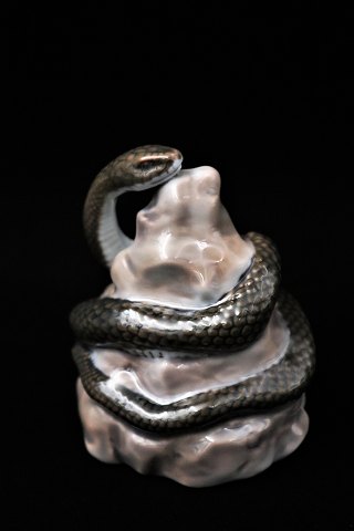 Rare Royal Copenhagen porcelain figure of a snake on a stone. 
RC#808...