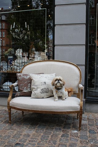 Empire salon sofa , forgyldt med fin gammel patina og betrukket med lyst 
hørstof...