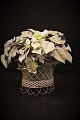 Fransk blomster buket fra sidst i 1800 tallet med bemalet zink blade og med små hvide porcelæns blomster.