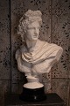 Dekorativ , gammel  buste i gips af den Romerske gud Apollon med en fin patina.H:55cm. B:37cm. D:23cm.