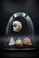 item no:
Globe nr.8 item no:
Globe nr.8