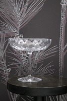Champagne glass